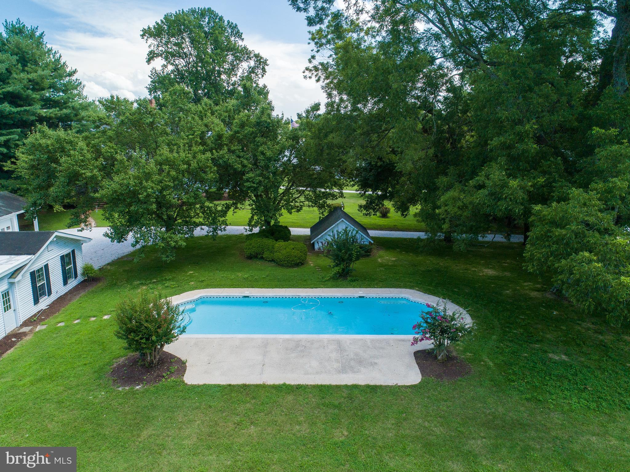 7704 Bloomfield Road Easton, MD 21601 - Photo 20 of 30 In-ground Pool
