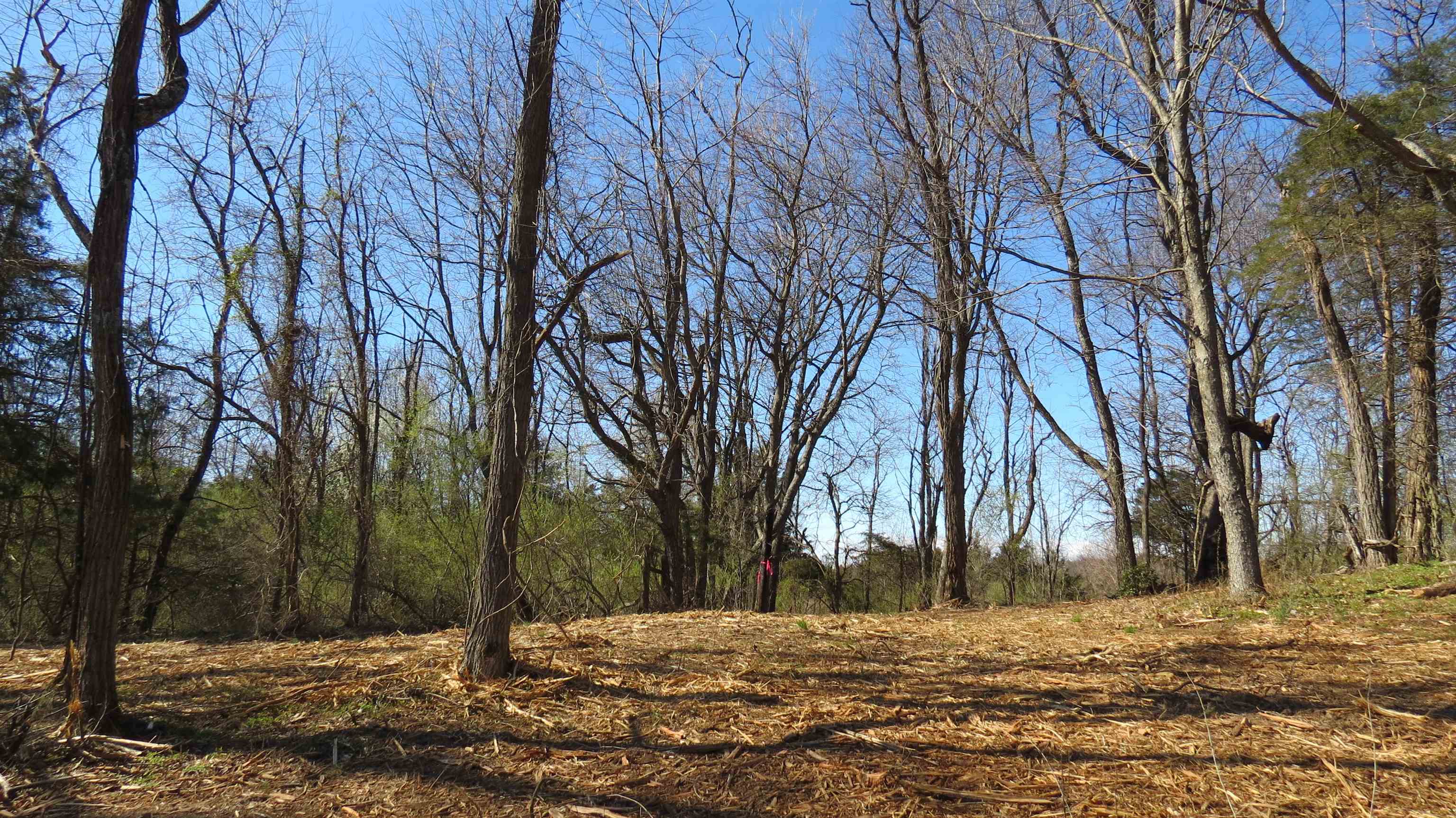 9-crown Ridge Berry Farm Road Staunton, VA 24401 - Photo 23 of 27 Gallery Image 23