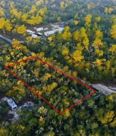 $23,000 | Tbd Northeast 234th Place, Fort McCoy, FL 32134