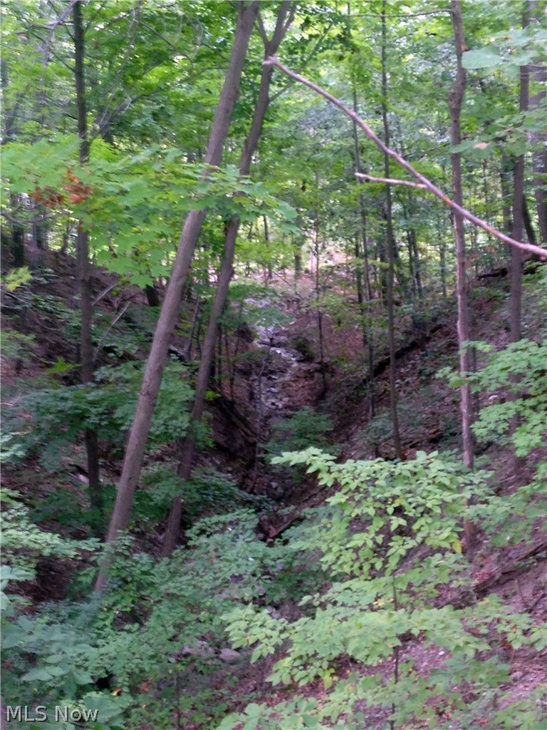 2914-3028 River Road Perry, OH 44081 - Photo 5 of 12