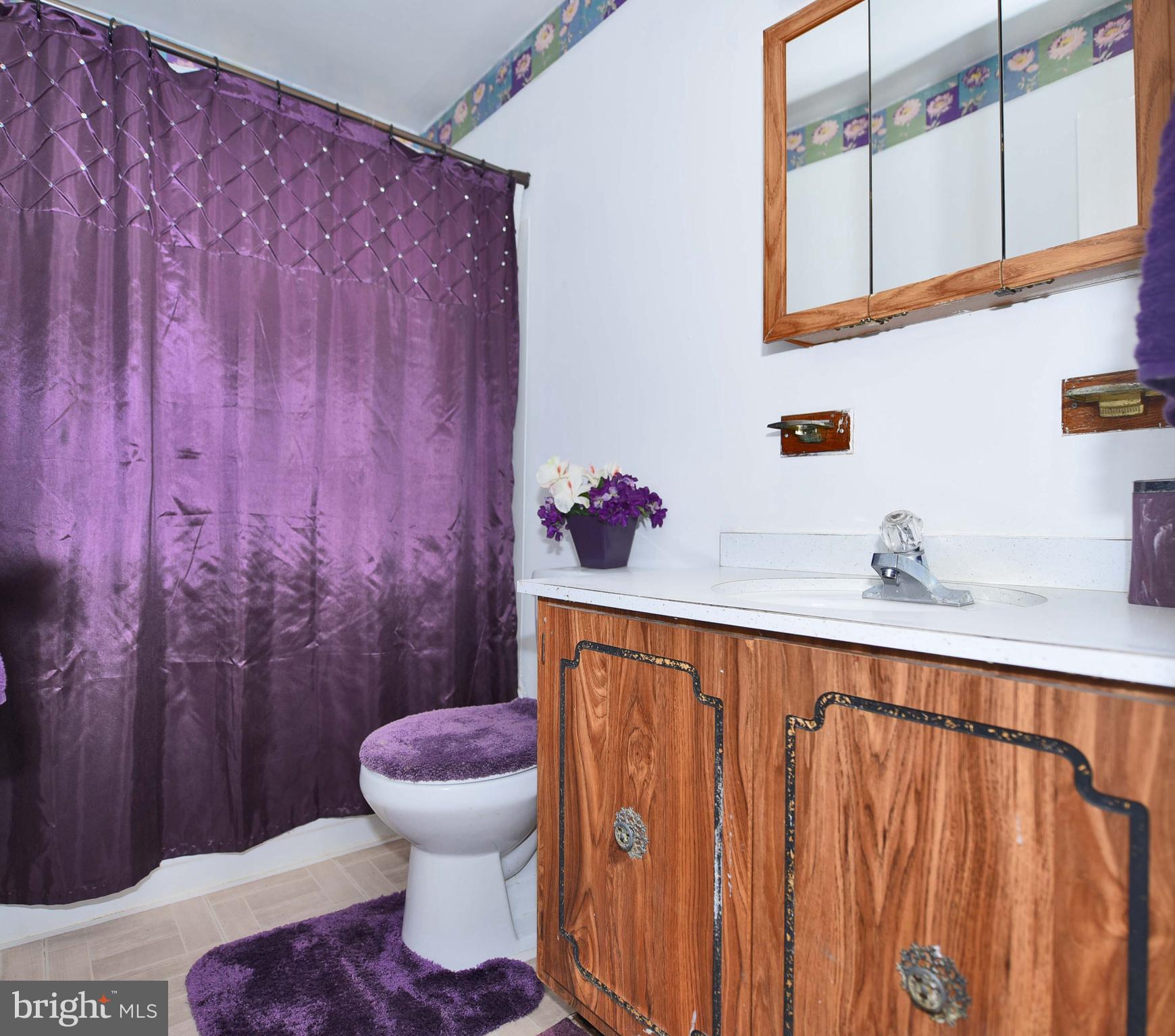 3933 Bayville Road Baltimore, MD 21220 - Photo 18 of 23 Bath (Master)