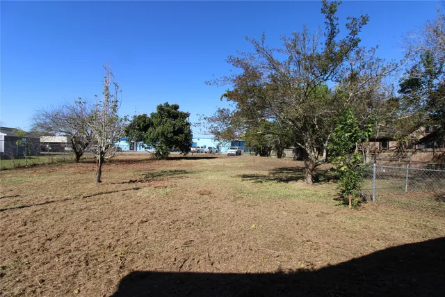 a view of a yard with a tree