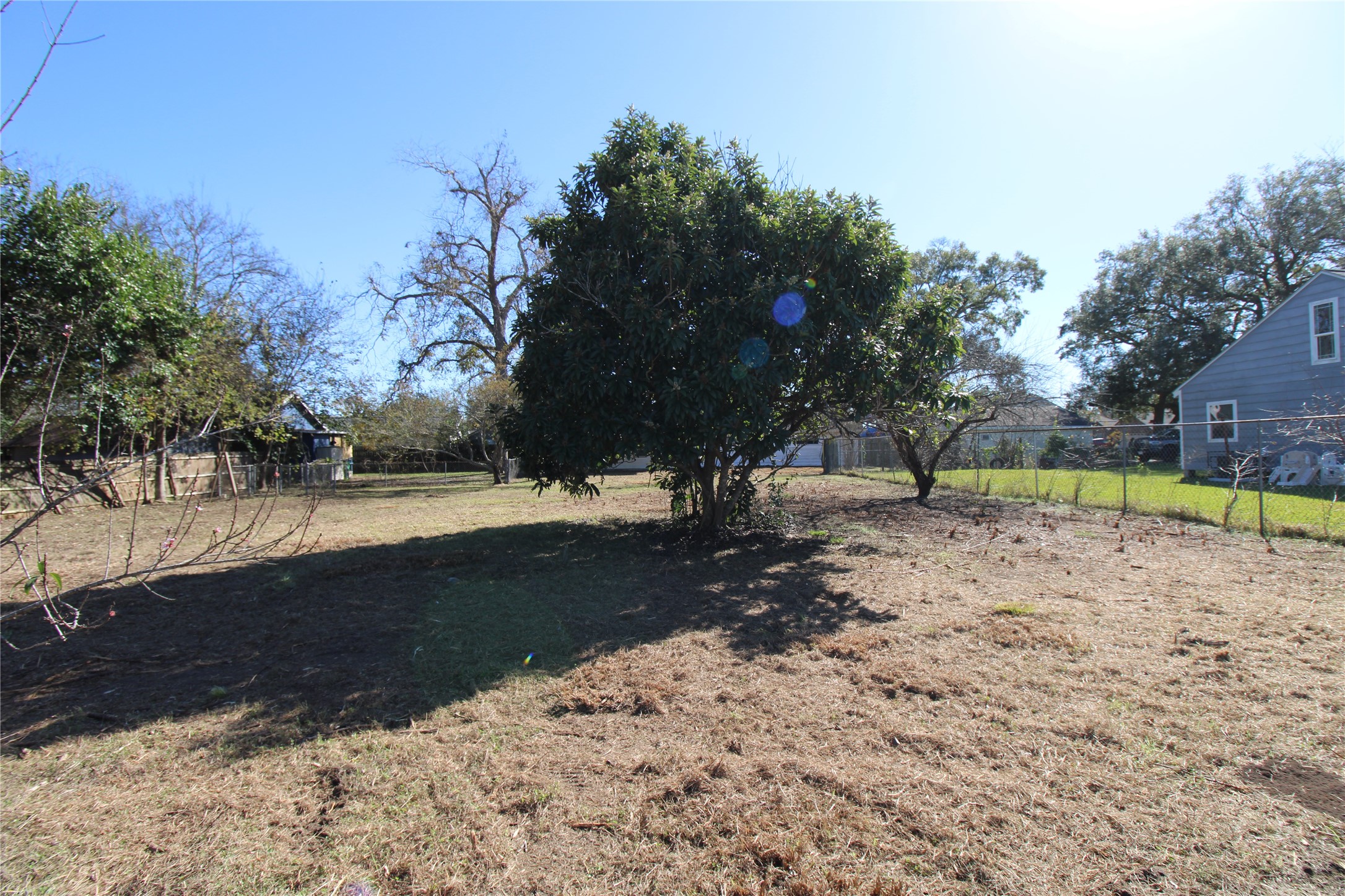 401 East 5th Street Sweeny, TX 77480 - Photo 8 of 37 Back yard, Mature Loquat tree