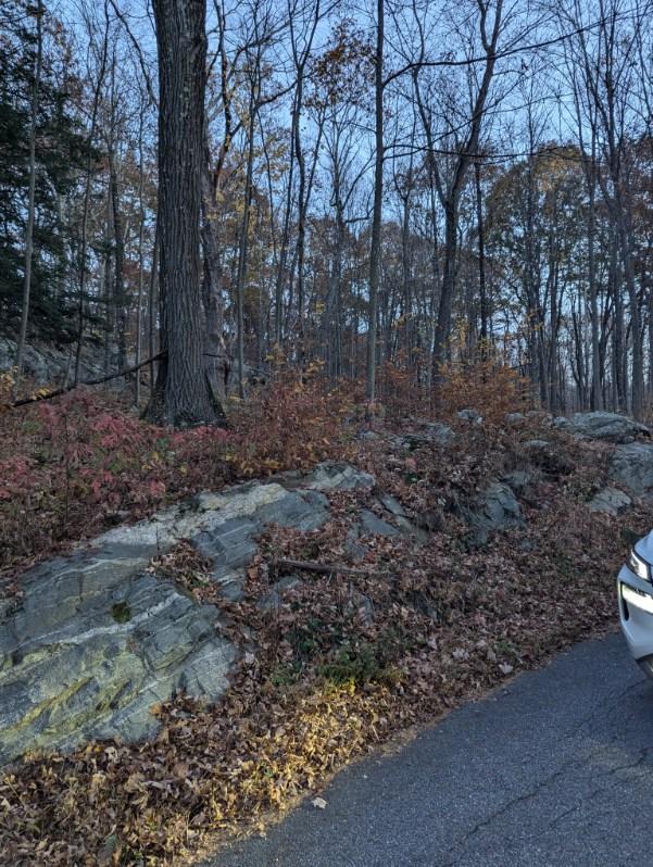 250 Hortontown Road Hopewell Junction, NY 12533 - Photo 3 of 5 View of lot