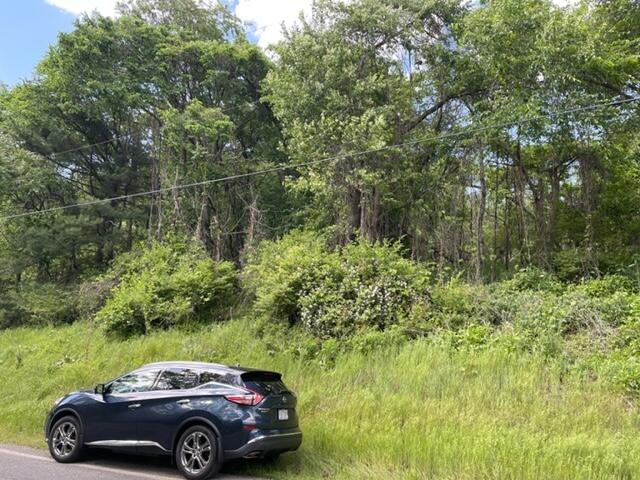 0 Rutrough Road Southeast Roanoke, VA 24014 - Photo 12 of 13 Rutrough