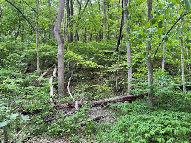 0 Rutrough Road Southeast Roanoke, VA 24014 - Photo 2 of 13 Brookside