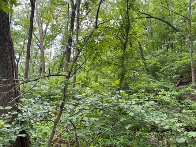 0 Rutrough Road Southeast Roanoke, VA 24014 - Photo 3 of 13 Brookside