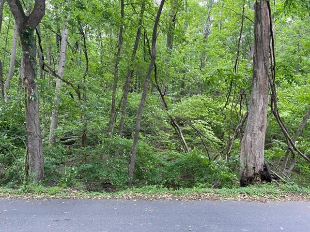 0 Rutrough Road Southeast Roanoke, VA 24014 - Photo 5 of 13 Brookside