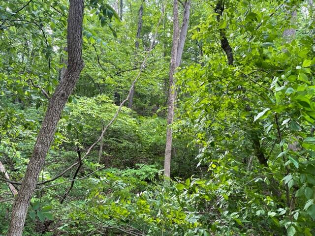 0 Rutrough Road Southeast Roanoke, VA 24014 - Photo 6 of 13 Brookside