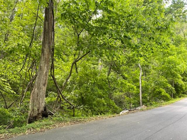 0 Rutrough Road Southeast Roanoke, VA 24014 - Photo 7 of 13 Brookside
