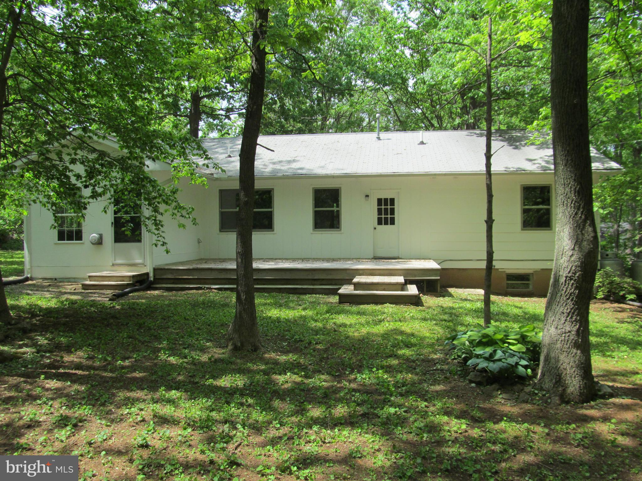 283 Chester Gap Road Chester Gap, VA 22623 - Photo 7 of 30 Exterior (Rear)