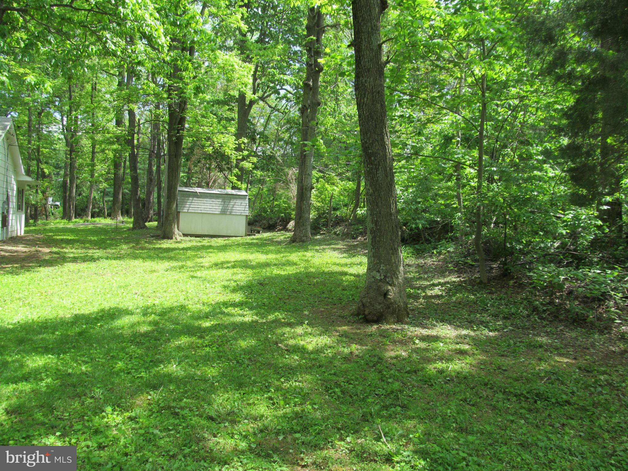 283 Chester Gap Road Chester Gap, VA 22623 - Photo 10 of 30 Exterior (General)