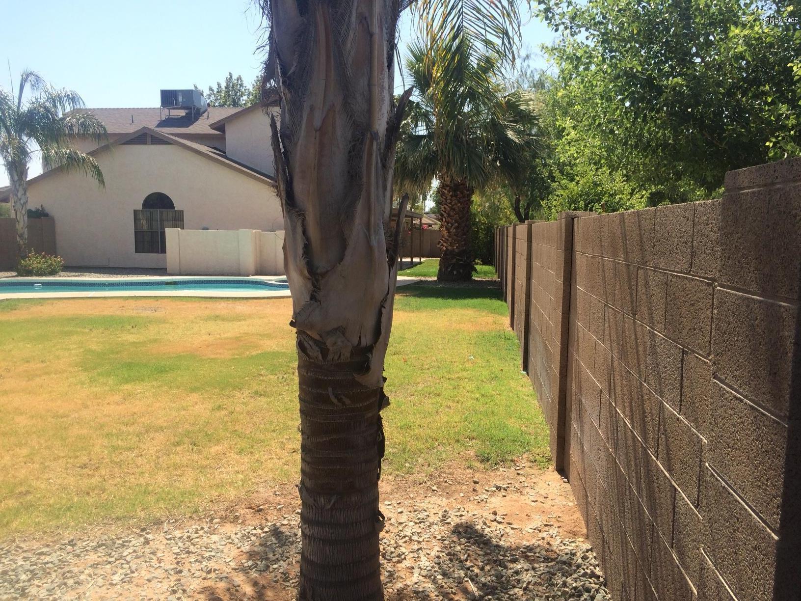 608 West Devon Court Gilbert, AZ 85233 - Photo 59 of 84 IMG_1897