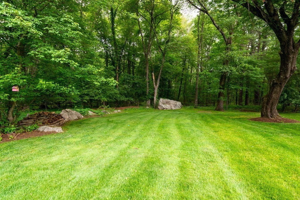 9 Parish Road Georgetown, MA 01833 - Photo 41 of 42 a view of a tree in a yard