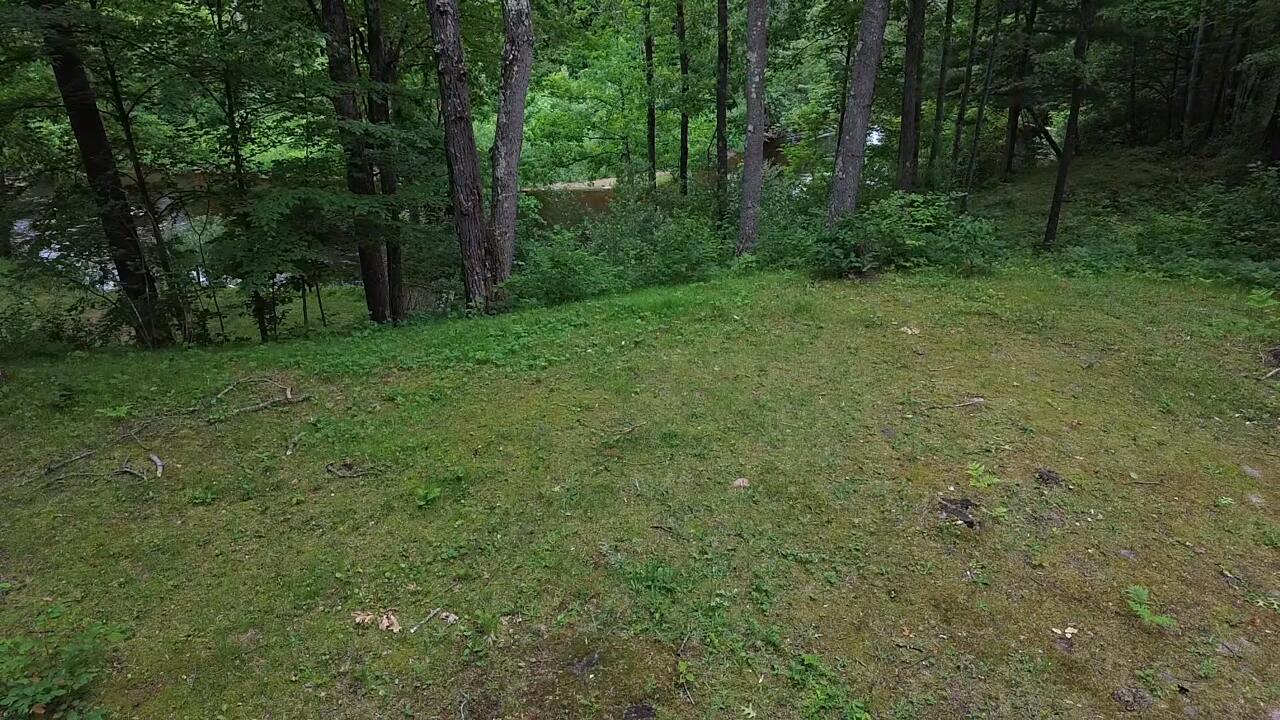 South Woods Road Branch, MI 49402 - Photo 6 of 14 vacant.lot2