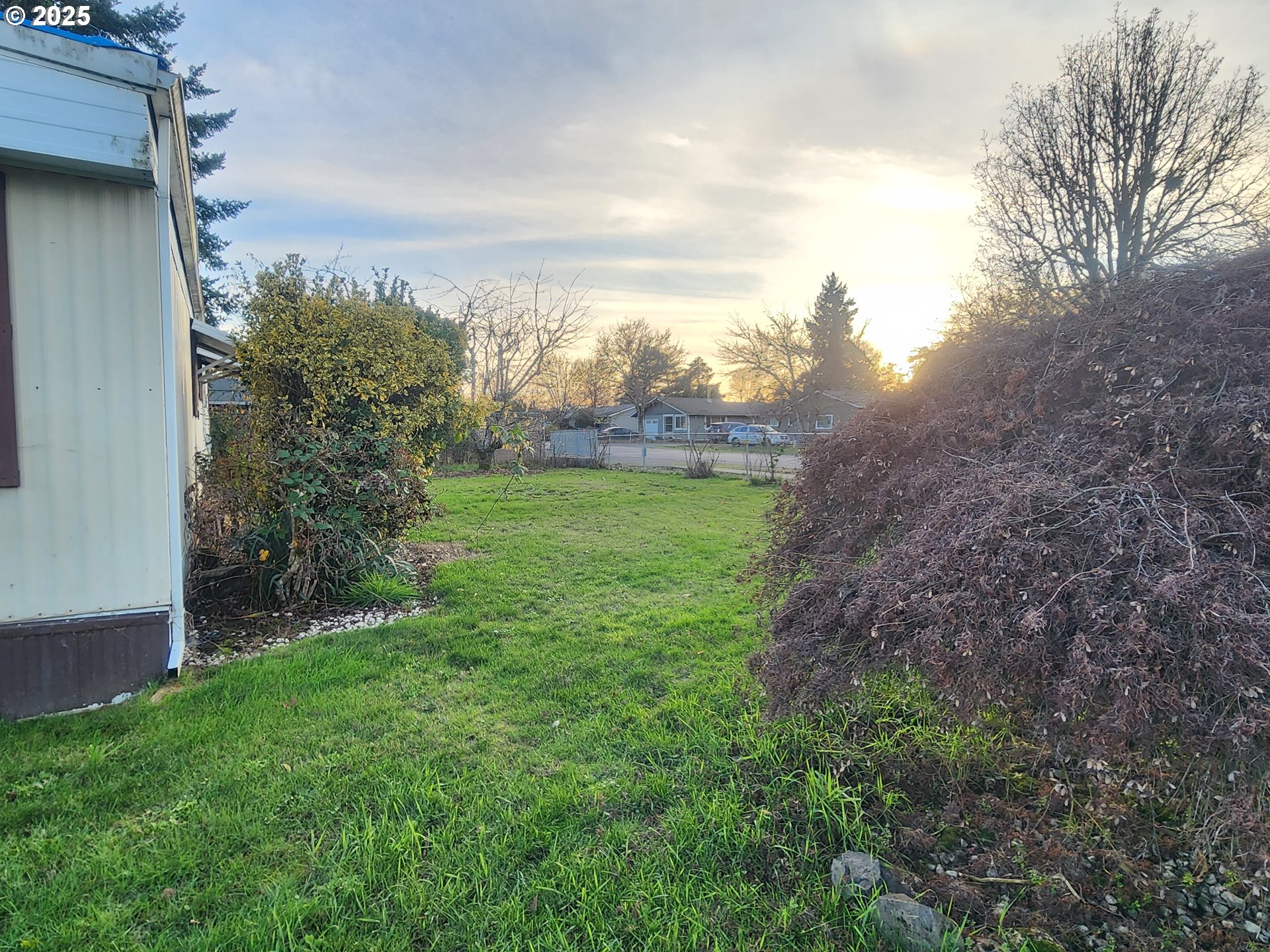 403 Rosedell Street Amity, OR 97101 - Photo 3 of 7