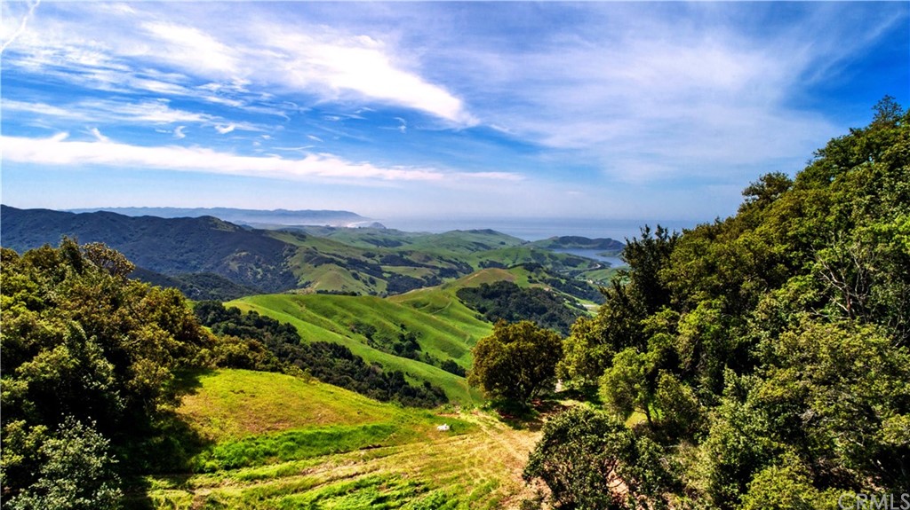 0 Old Creek Road Cayucos, CA 93430 - Photo 8 of 14 a view of a houses with a lush green forest