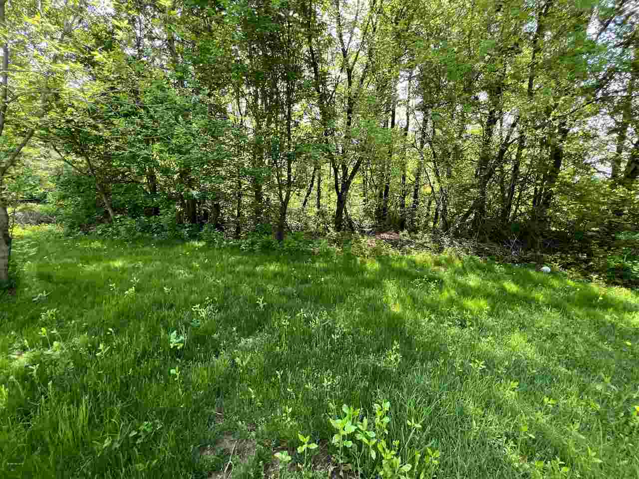9851 Barkley Road Millington, MI 48746 - Photo 25 of 28