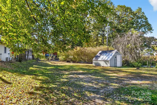 a view of a field with large trees