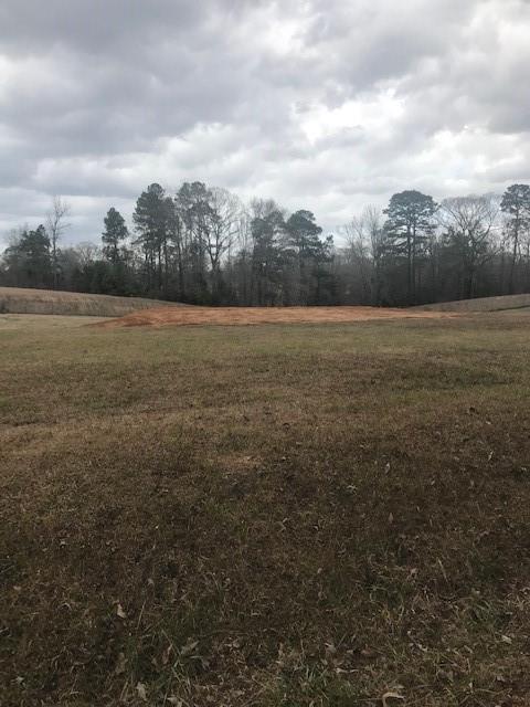 303 Price Road Pollock, LA 71467 - Photo 1 of 4 Gallery Image 1