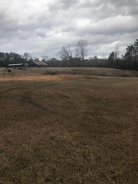303 Price Road Pollock, LA 71467 - Photo 2 of 4 Gallery Image 2