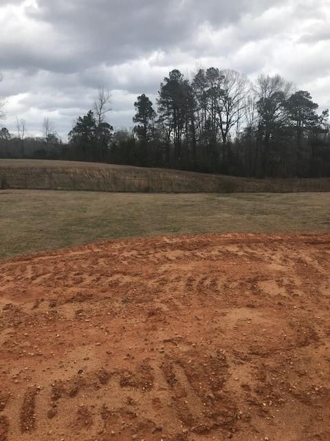 303 Price Road Pollock, LA 71467 - Photo 3 of 4 Gallery Image 3