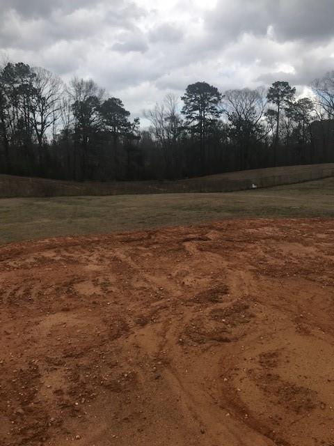 303 Price Road Pollock, LA 71467 - Photo 4 of 4 Gallery Image 4