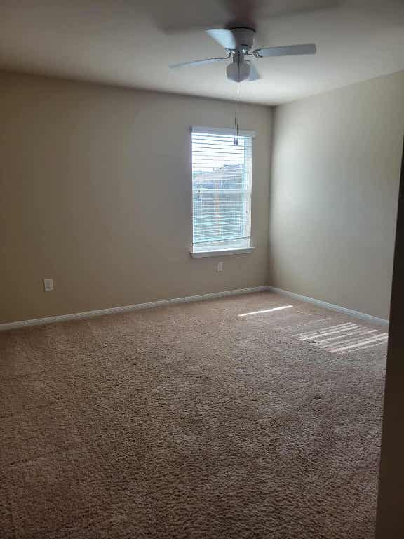 213 Camellia Drive Hutto, TX 78634 - Photo 17 of 27 en empty room with windows and ceiling fan