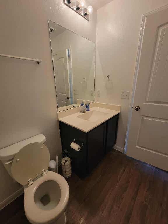 213 Camellia Drive Hutto, TX 78634 - Photo 19 of 27 a bathroom with a sink a toilet and mirror