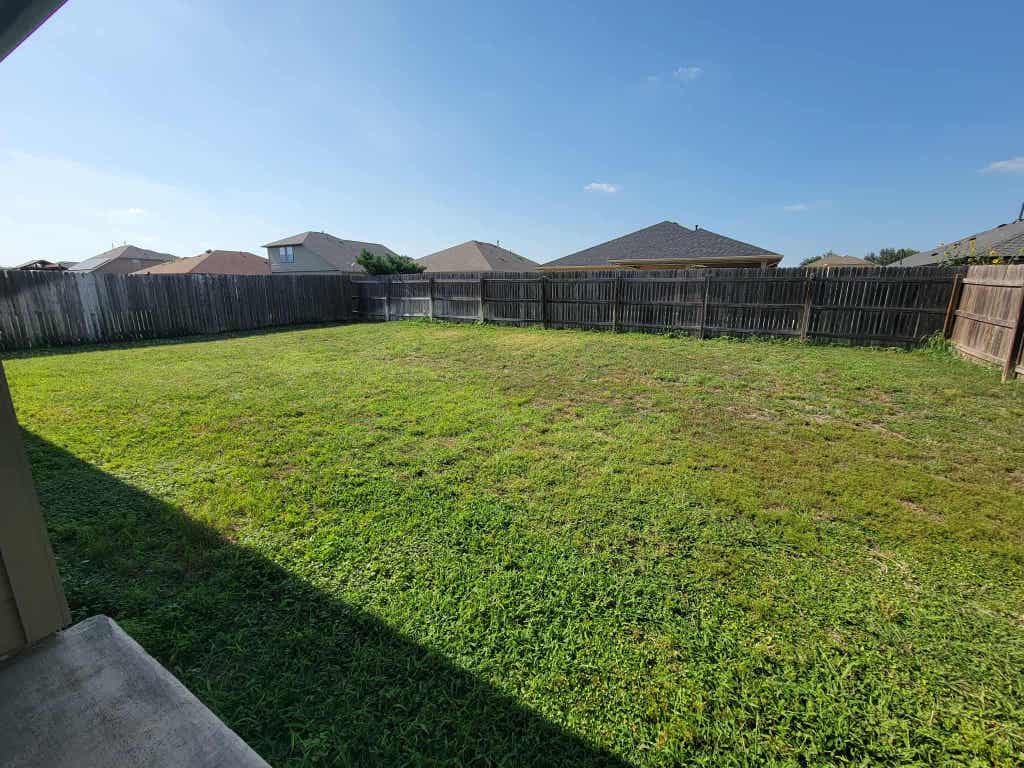 213 Camellia Drive Hutto, TX 78634 - Photo 25 of 27 a view of a back yard