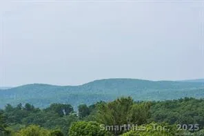 an aerial view of houses covered in trees
