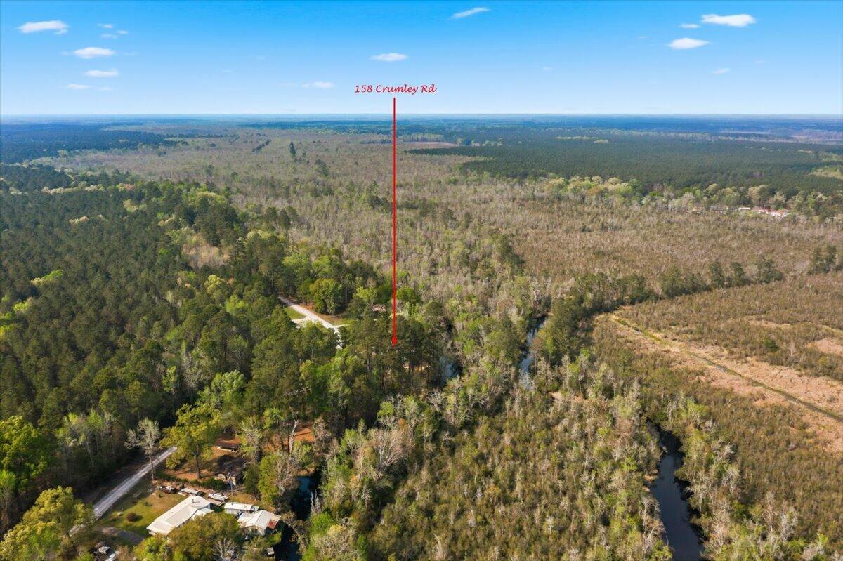 158 Crumley Road Walterboro, SC 29488 - Photo 54 of 59 Mother Natures Finest