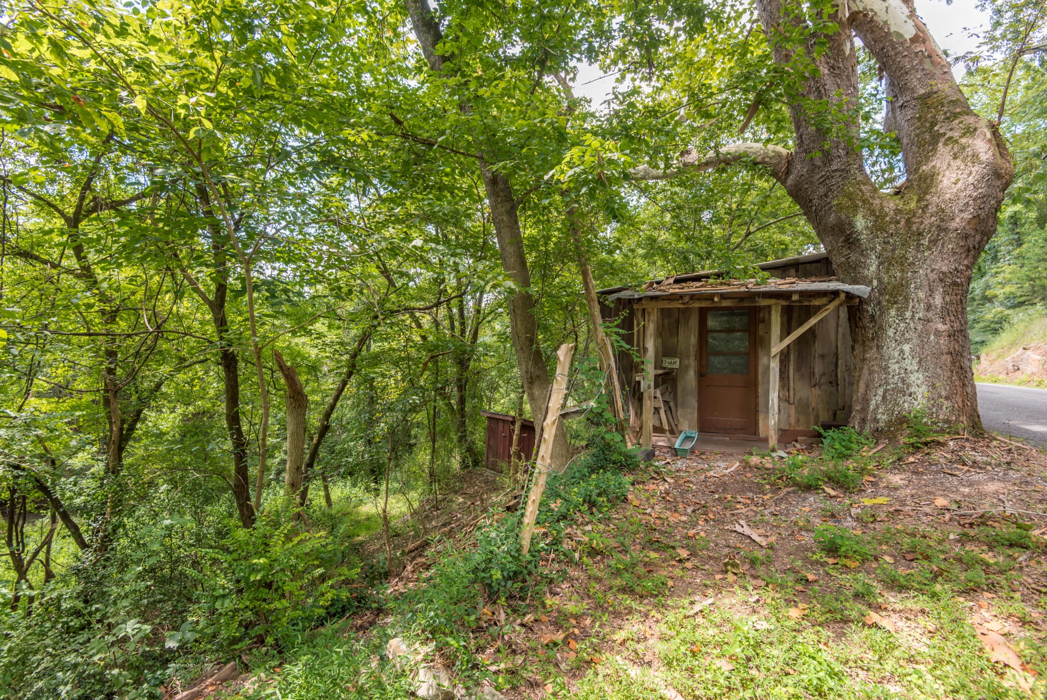 812 Lovely Bluff Road Rocky Top, TN 37769 - Photo 13 of 38 Gallery Image 13