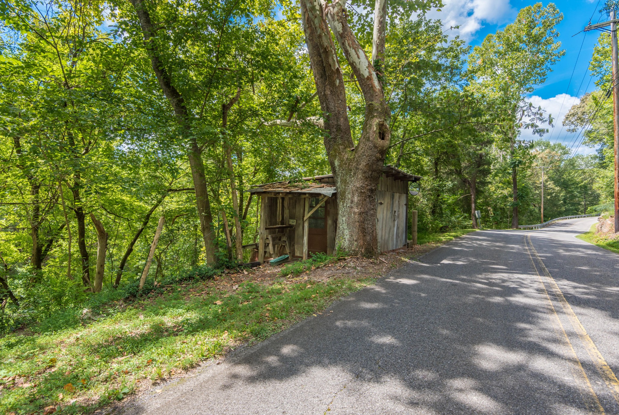 812 Lovely Bluff Road Rocky Top, TN 37769 - Photo 15 of 38 Gallery Image 15