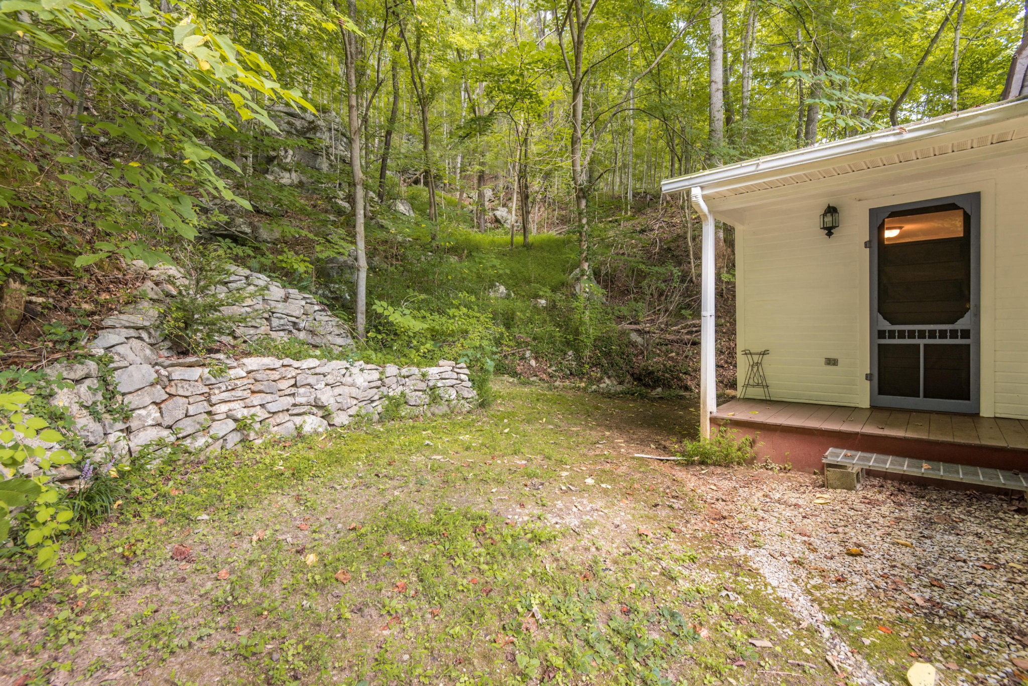 812 Lovely Bluff Road Rocky Top, TN 37769 - Photo 5 of 38 Gallery Image 5