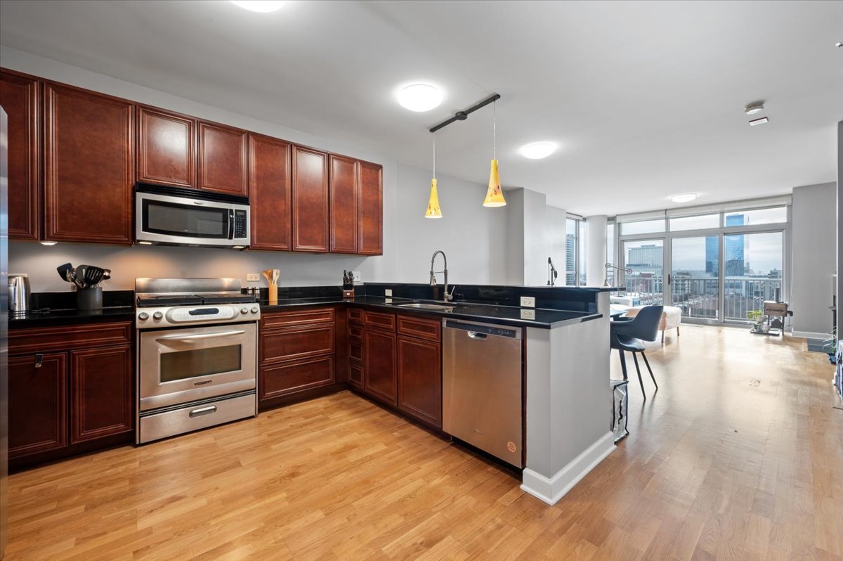 1600 South Prairie Avenue, Unit 1409 Chicago, IL 60616 - Photo 14 of 33