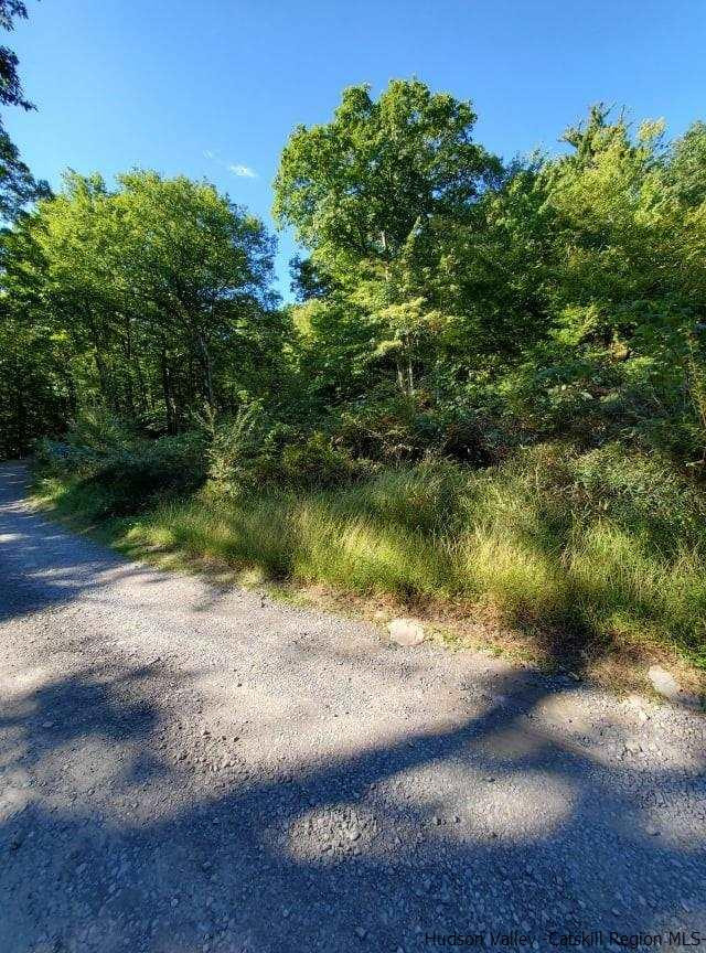 4-8 Camp Adventure Road Kerhonkson, NY 12446 - Photo 5 of 5 Photo 5
