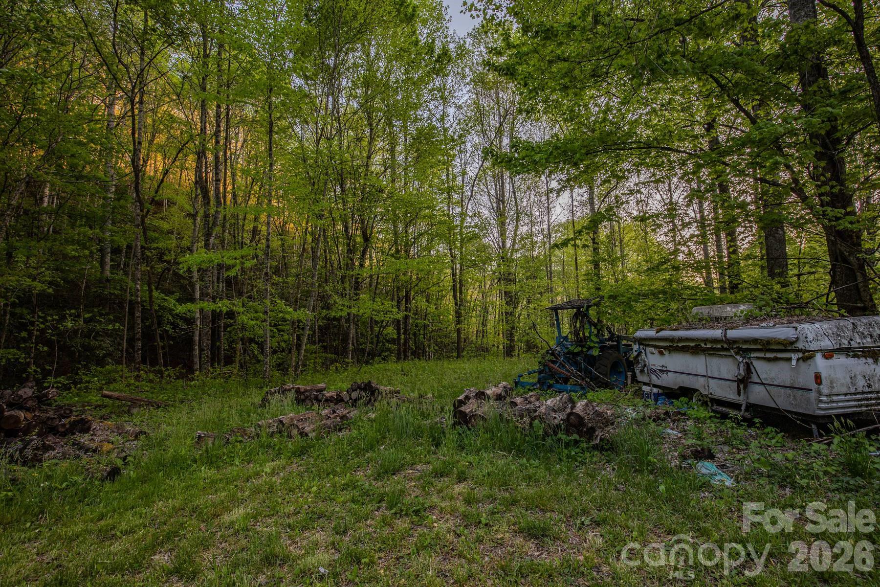 0 Unahala Creek Road Bryson City, NC 28713 - Photo 13 of 14