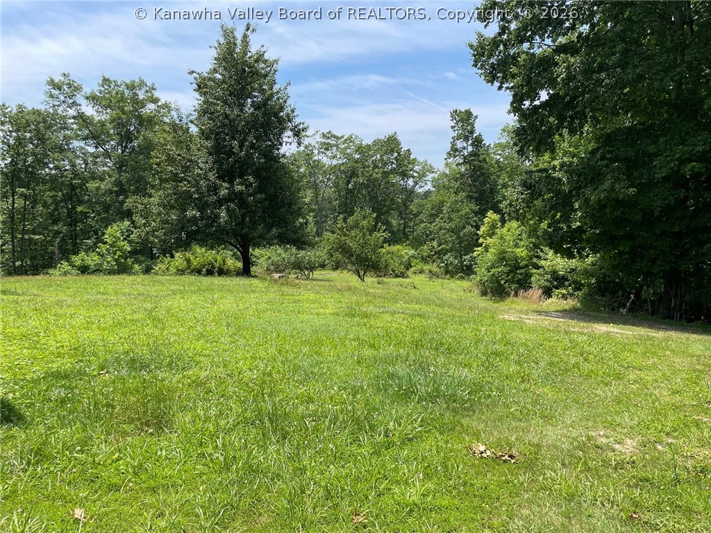 1669 Maysel Laurel Ridge Road Maysel, WV 25133 - Photo 5 of 21 Gallery Image 5
