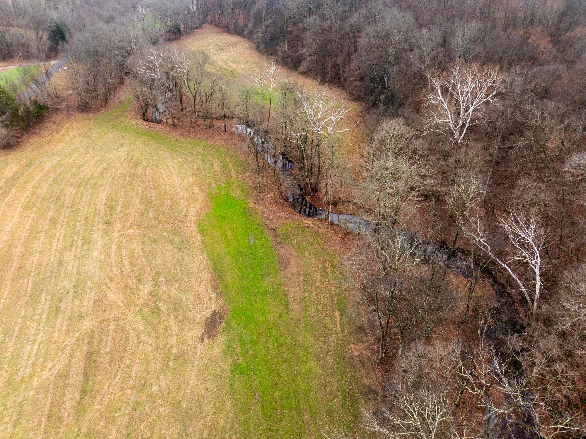 0 Shelter Branch Road Charlotte, TN 37036 - Photo 16 of 30