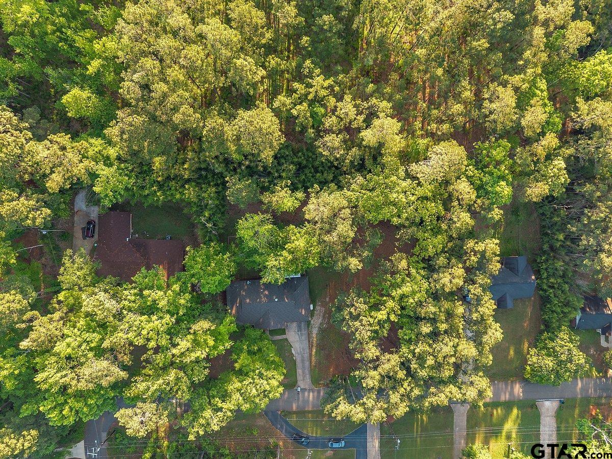 133 Caroline Street Rusk, TX 75785 - Photo 20 of 21 a plant with lots of bushes