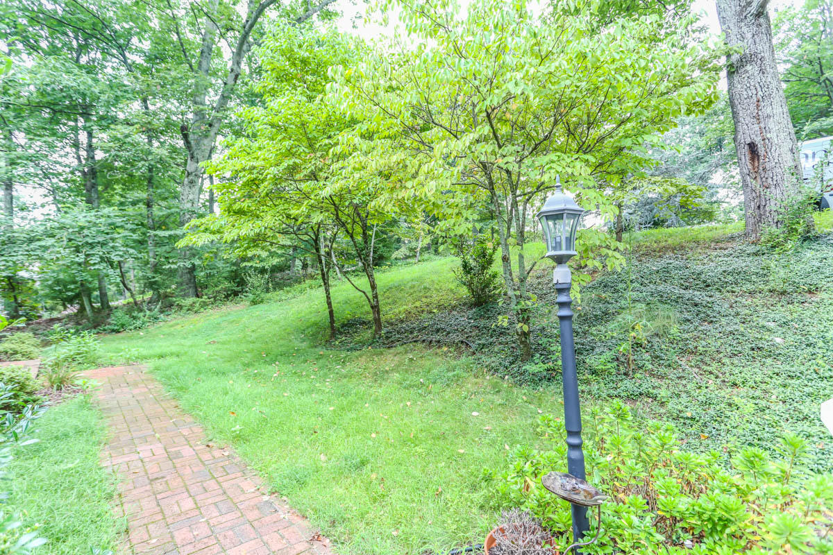 5135 Falcon Ridge Road Roanoke, VA 24018 - Photo 48 of 56 a view of a lush green forest
