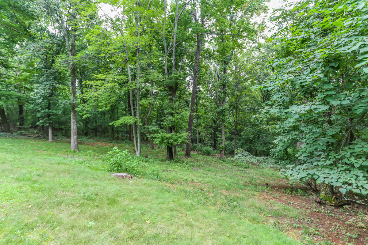5135 Falcon Ridge Road Roanoke, VA 24018 - Photo 53 of 56 a view of outdoor space with green field and trees