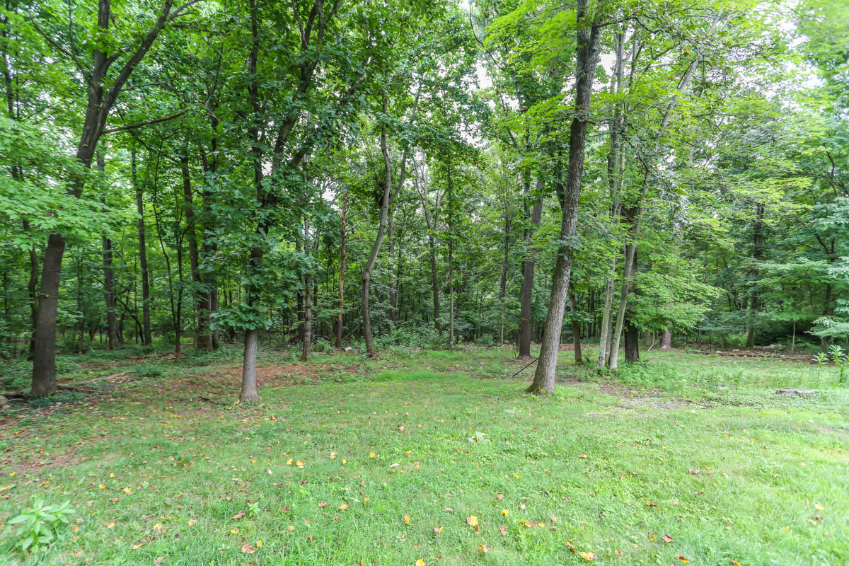 5135 Falcon Ridge Road Roanoke, VA 24018 - Photo 54 of 56 a view of outdoor space with green field and trees