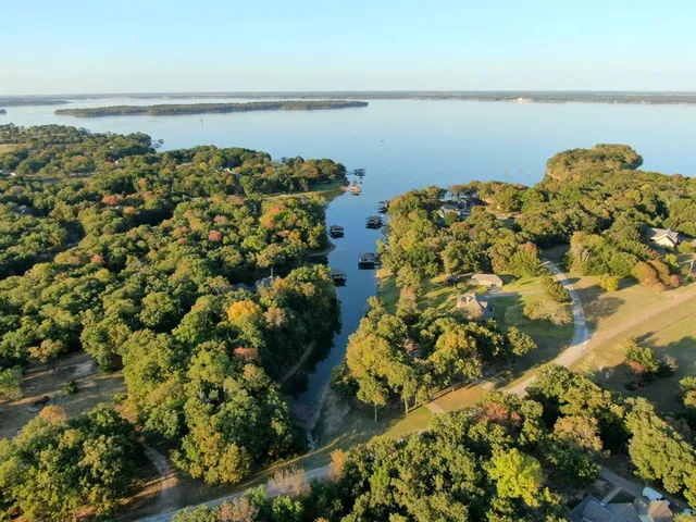 a view of a bunch of trees and bushes
