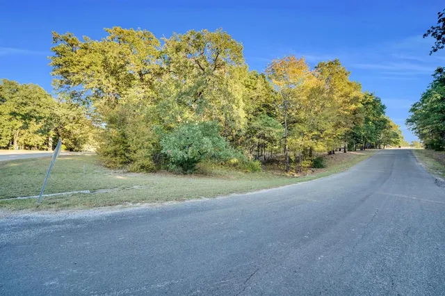 a view of a field with large trees