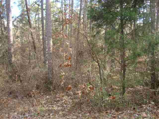 0 Springlake Road Six Mile, SC 29682 - Photo 1 of 22 Gallery Image 1