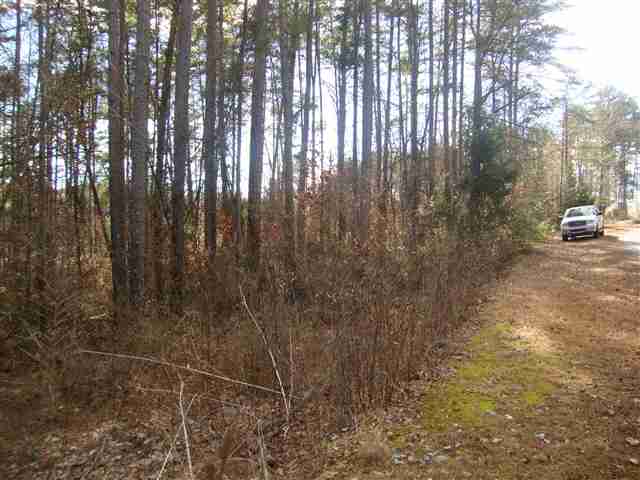 0 Springlake Road Six Mile, SC 29682 - Photo 2 of 22 Gallery Image 2