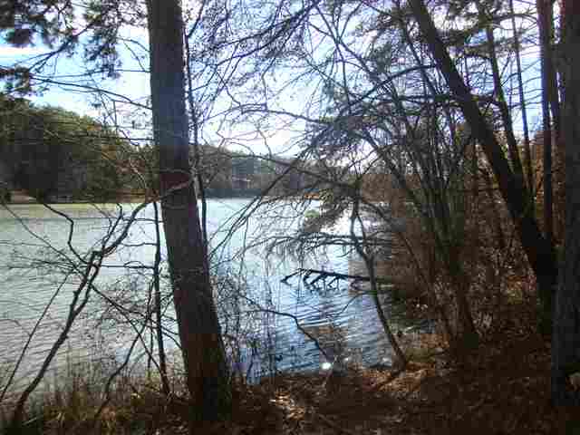 0 Springlake Road Six Mile, SC 29682 - Photo 11 of 22 Gallery Image 11