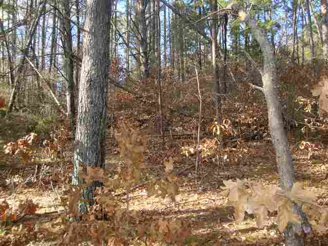 0 Springlake Road Six Mile, SC 29682 - Photo 13 of 22 Gallery Image 13